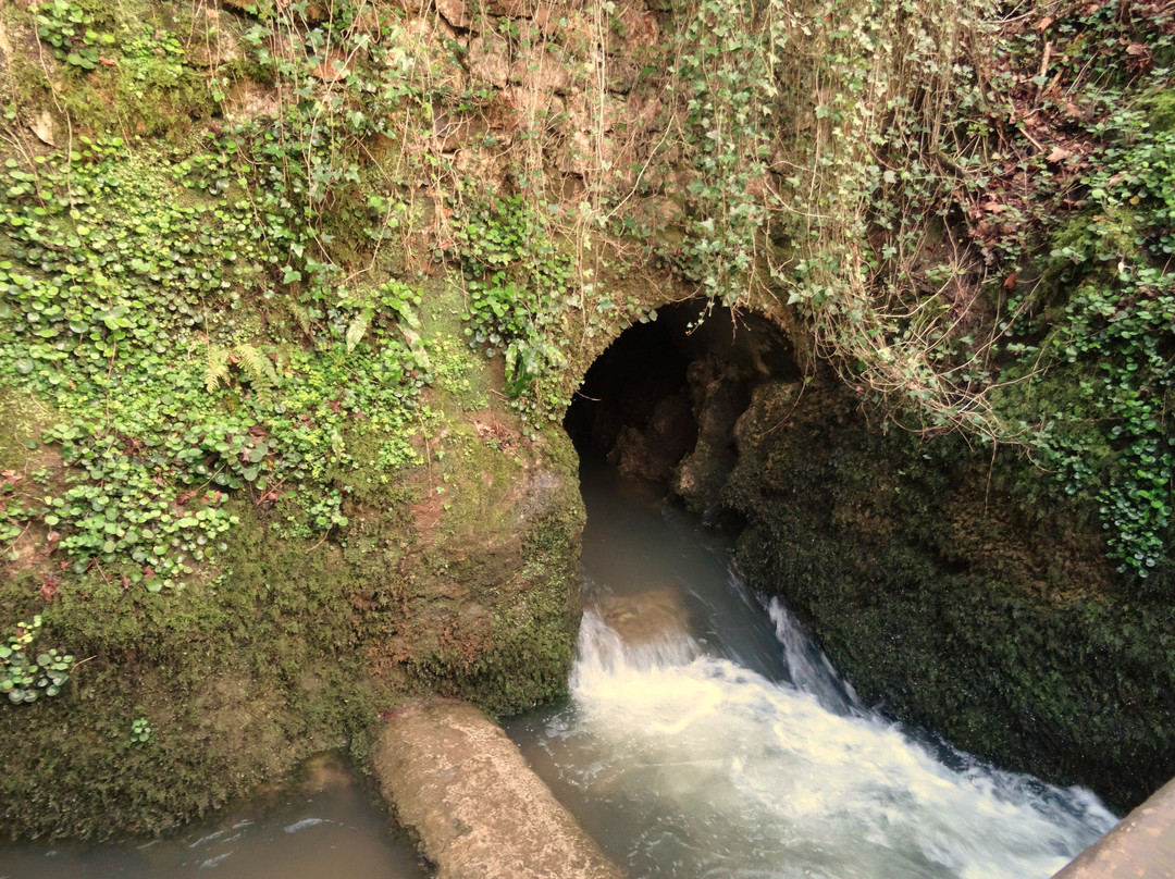 Parque Paleolitico de la Cueva del Valle景点图片