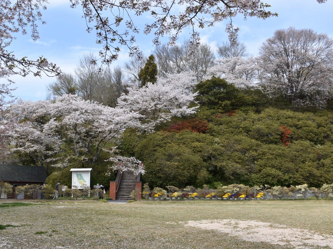Handayama Botany景点图片