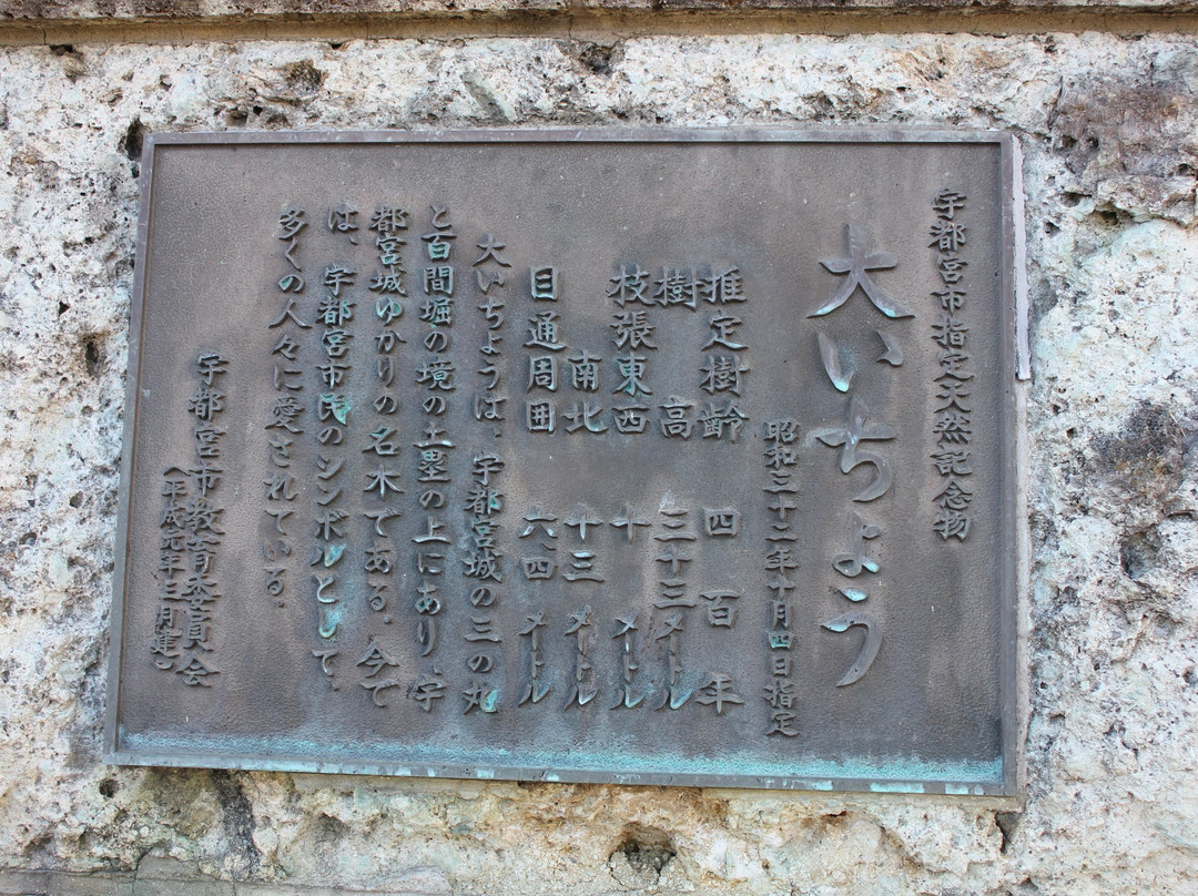 Oicho-宇都宫市必去景点