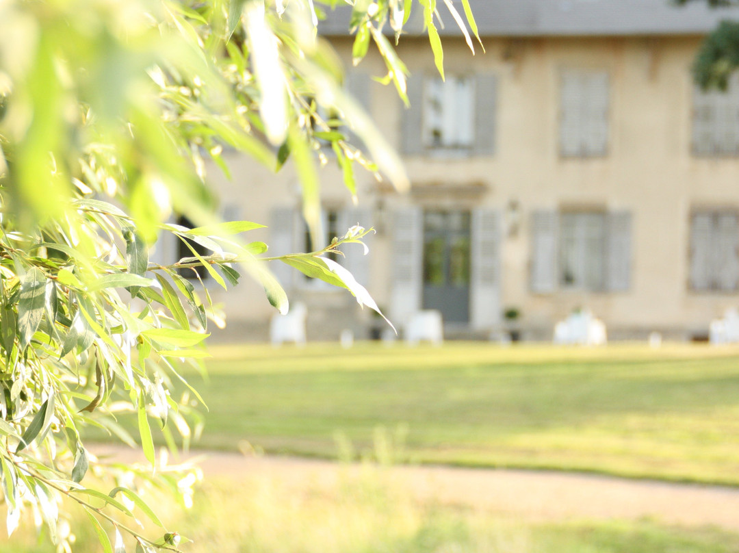 Domaine de Savigny主图