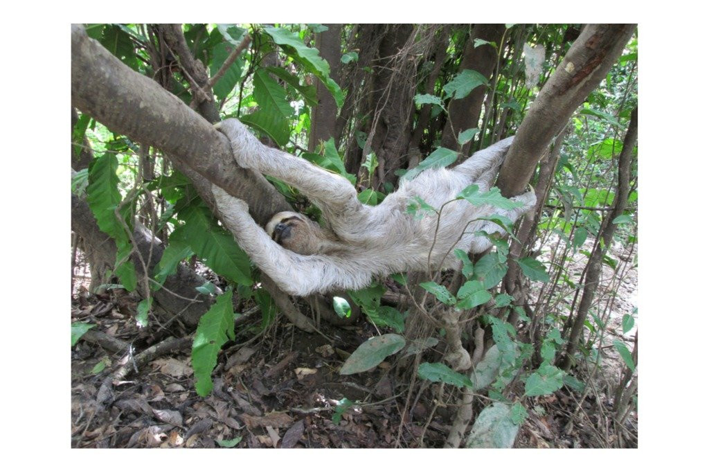 Tapajó Experiences-Alter do Chao必去景点