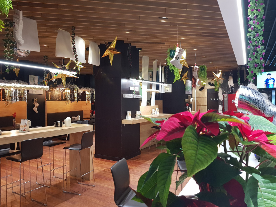 Delusx SCQ-圣地亚哥德孔波斯特拉必去景点