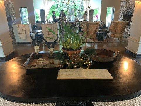 狮沙辛加旅馆主图