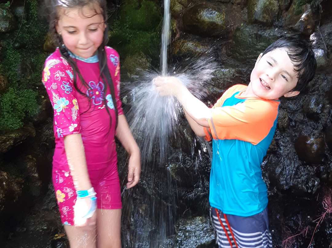 Termas de Manquecura-Conaripe必去景点