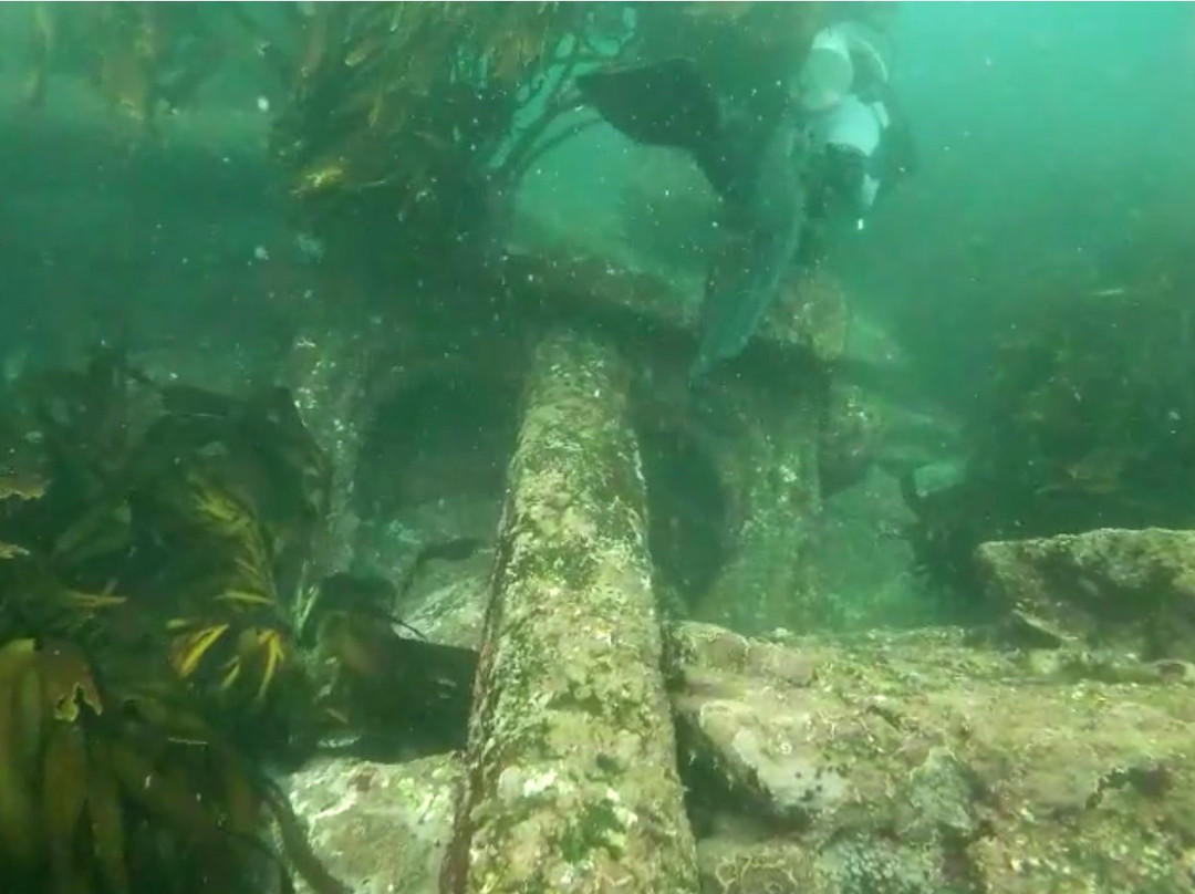 ExploraSub-Chanaral de Aceituno必去景点