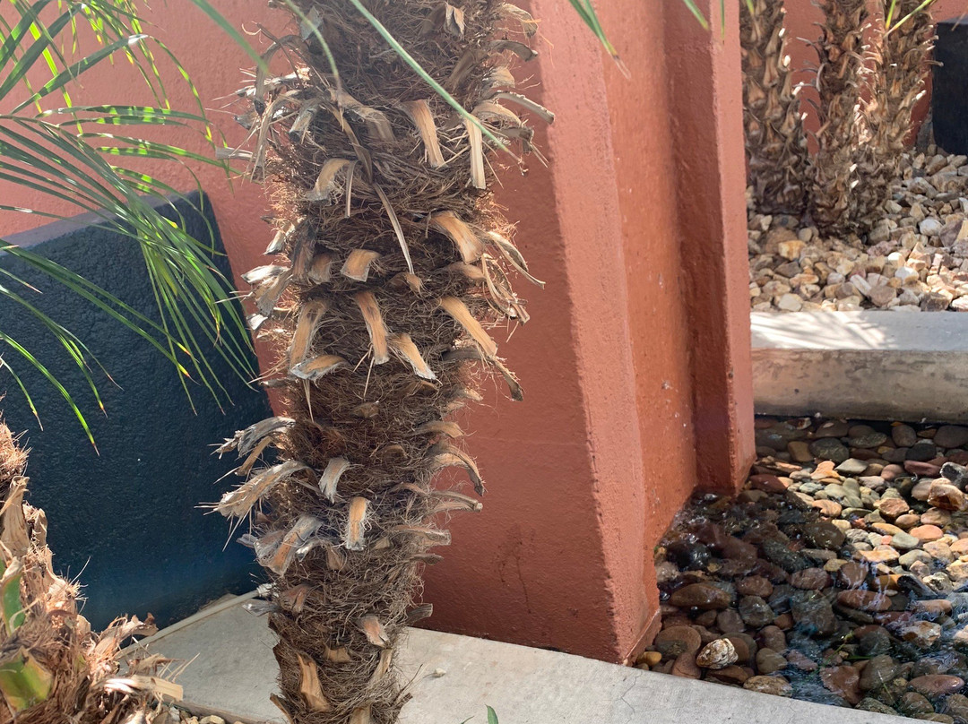 Tanger Outlets Phoenix-格兰岱尔必去景点