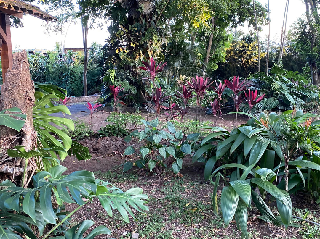 Hotel Villa San Ignacio主图