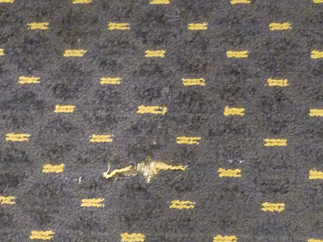 Wingate by Wyndham Waynesboro/Route 340主图