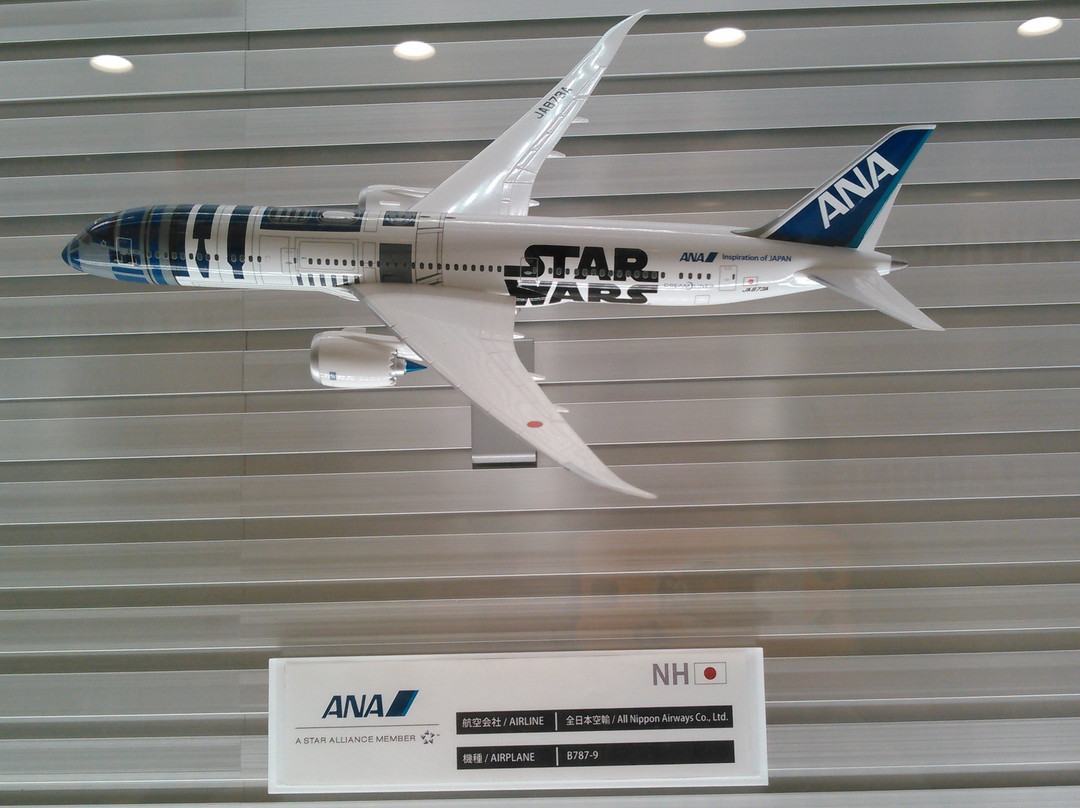 Tiat Sky Road-大田区必去景点