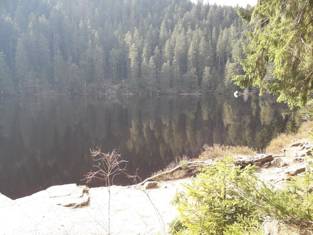 Glasswaldsee-Bad Rippoldsau-Schapbach必去景点