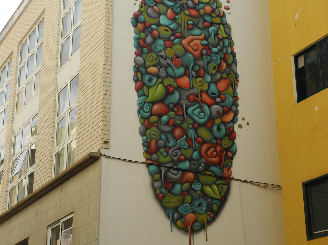 Puerto Street Art景点图片