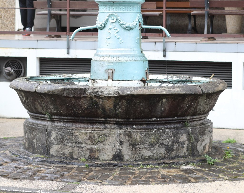 Fontaine de la rue des Bains景点图片