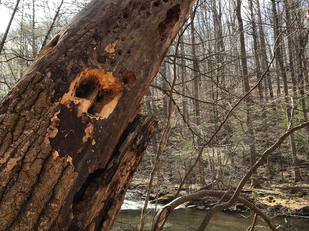 Black River County Park-Chester必去景点