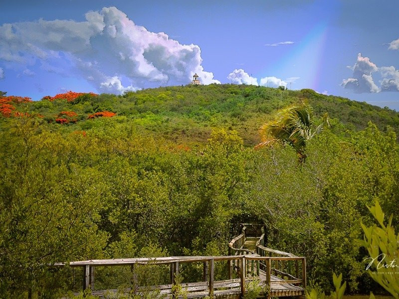 Reserva Natural Cabezas de San Juan景点图片
