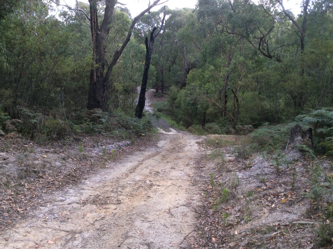 Traralgon South Flora and Fauna Reserve-特拉拉尔根必去景点