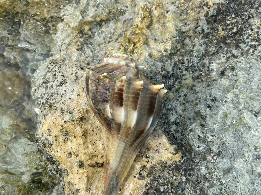 Native Guidance-Sugarloaf必去景点