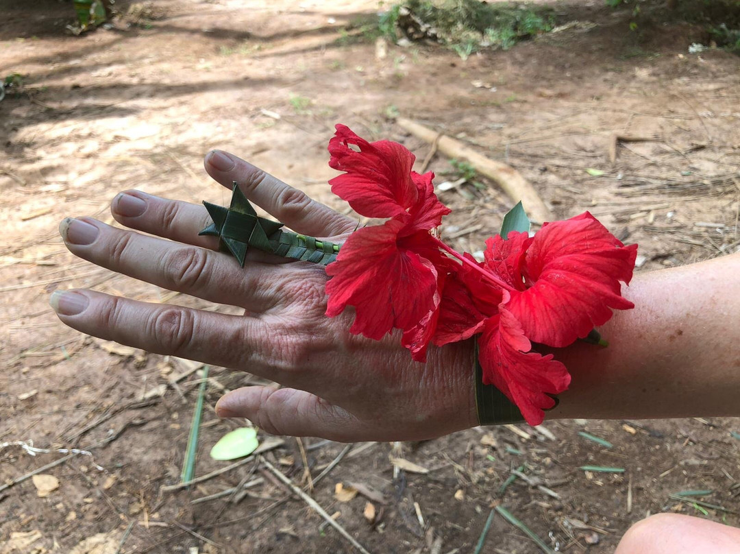 Stonefish Tours Zanzibar-江比阿尼必去景点