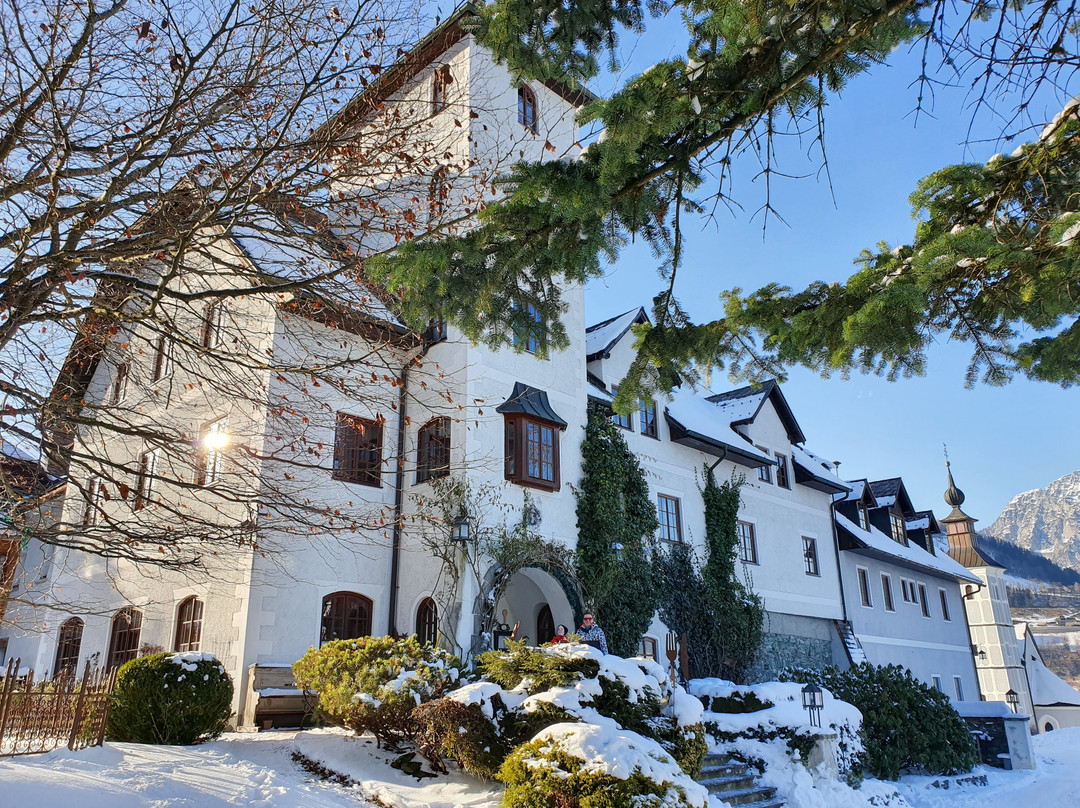 Aparthotel Schloss Thannegg主图
