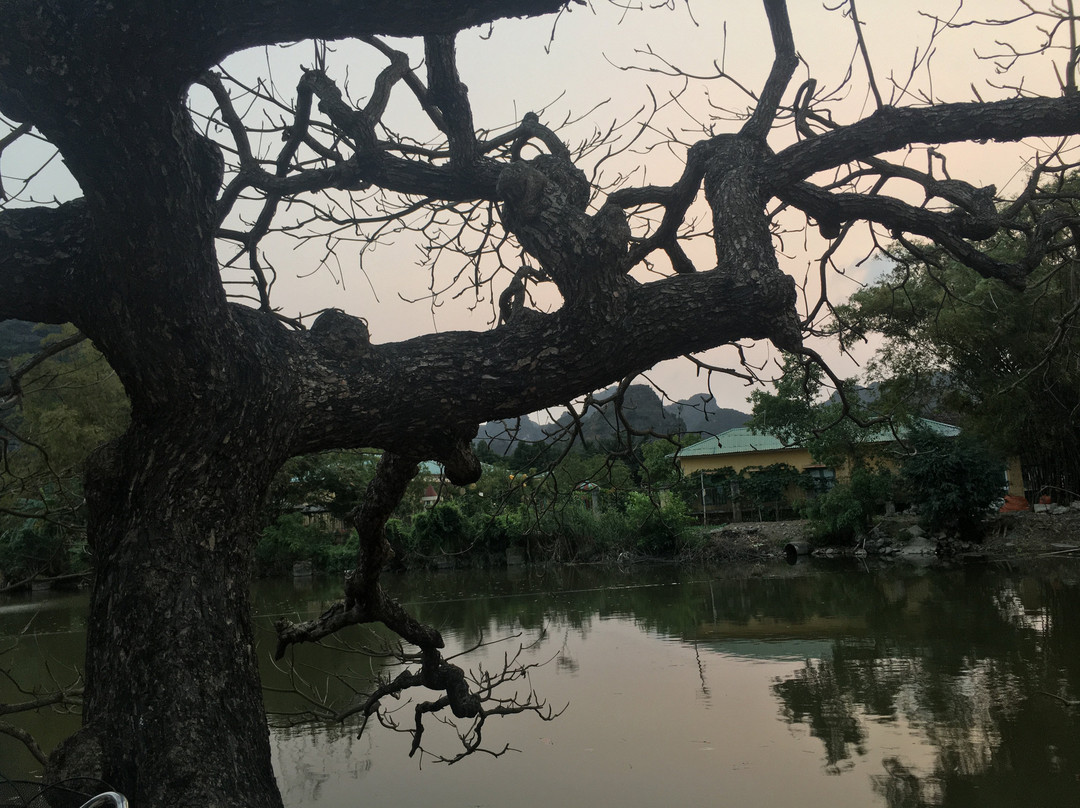 Ninh Binh Village1990 Homestay主图