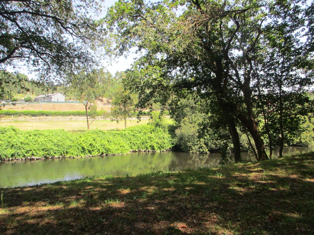 Parque Urbano Sara Moreira景点图片
