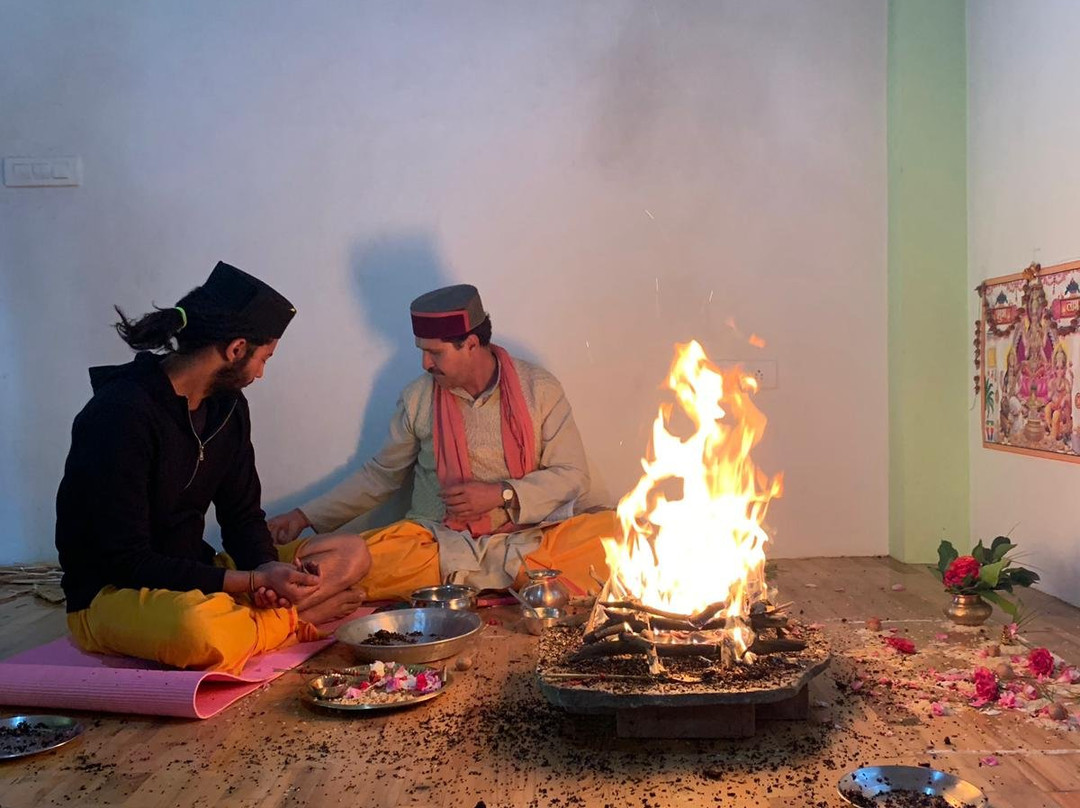 Open Lotus Yoga Retreat景点图片