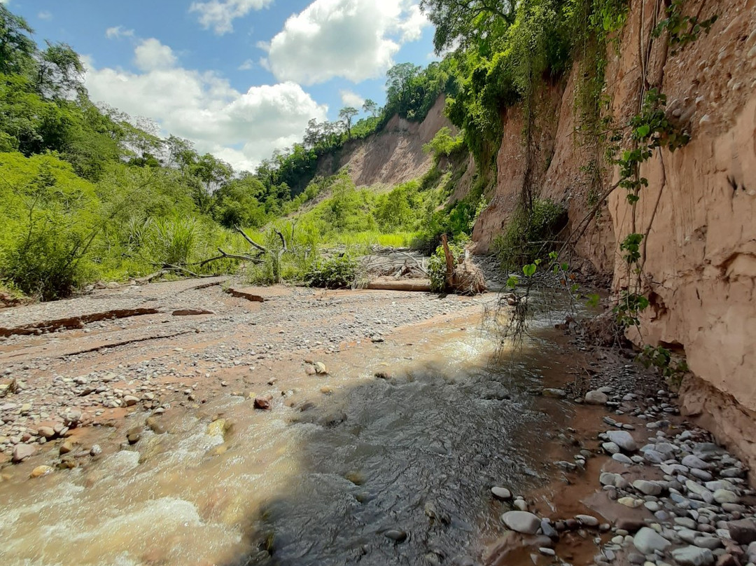 Calilegua National Park-Calilegua必去景点