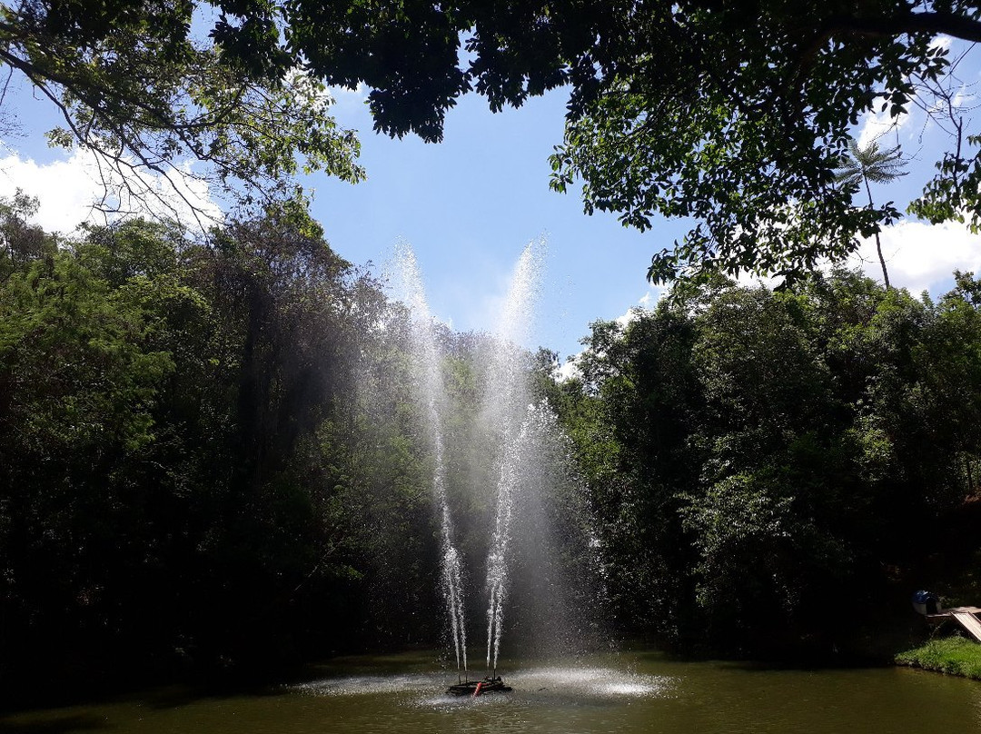 Bosque do Saber-因达亚图巴必去景点