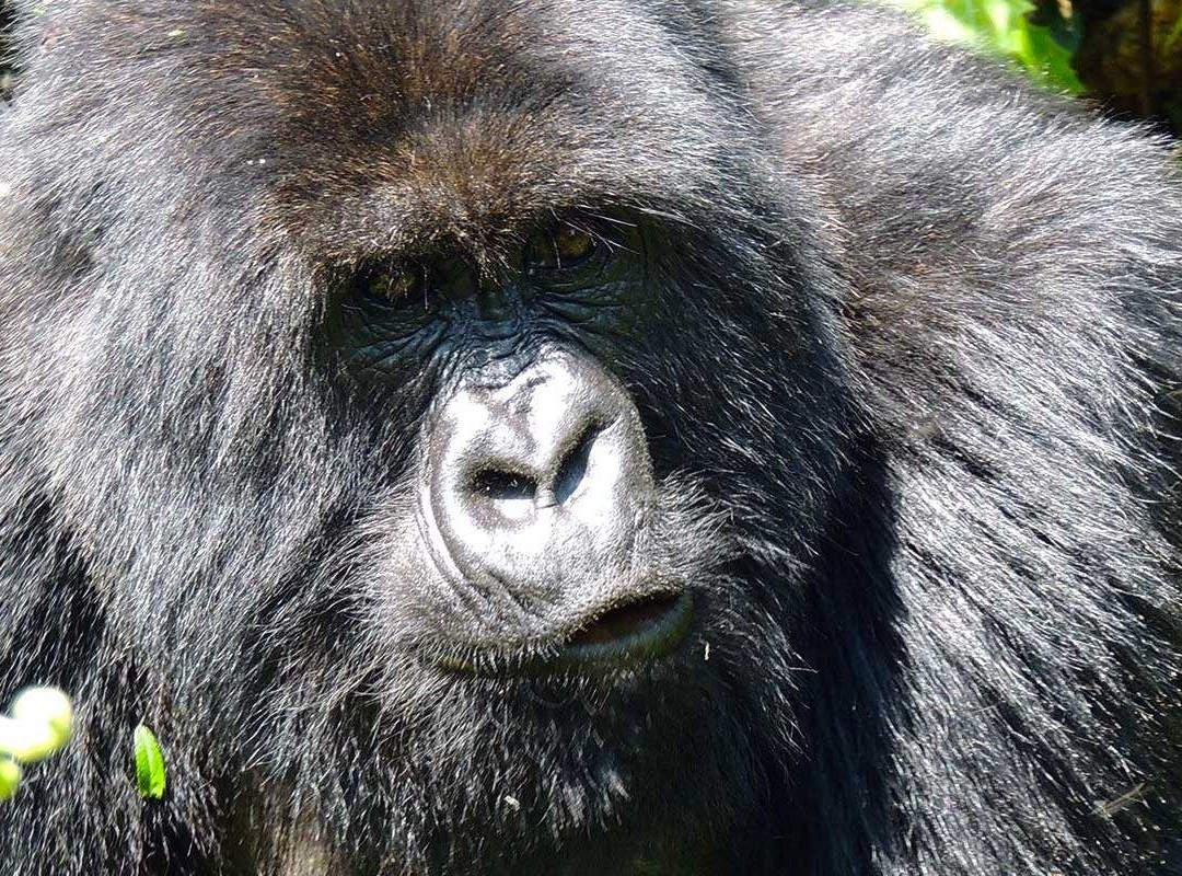 Rwanda Holidays-Kayonza必去景点