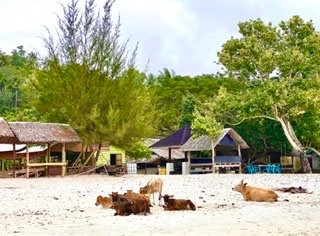 Guest House Sabang Marifi主图