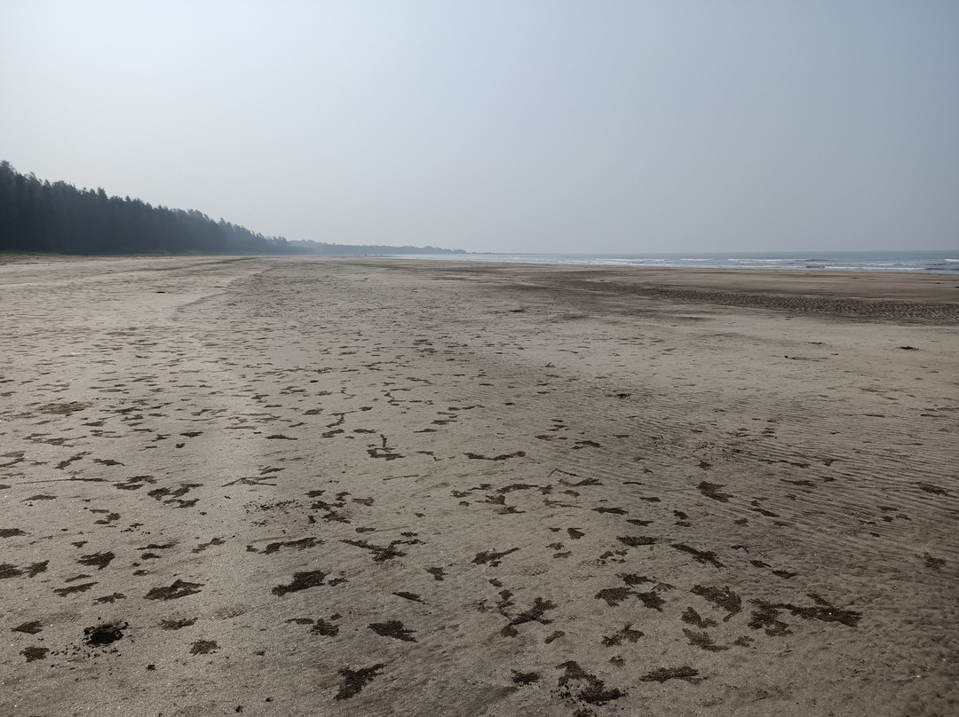 Kelshi Beach景点图片