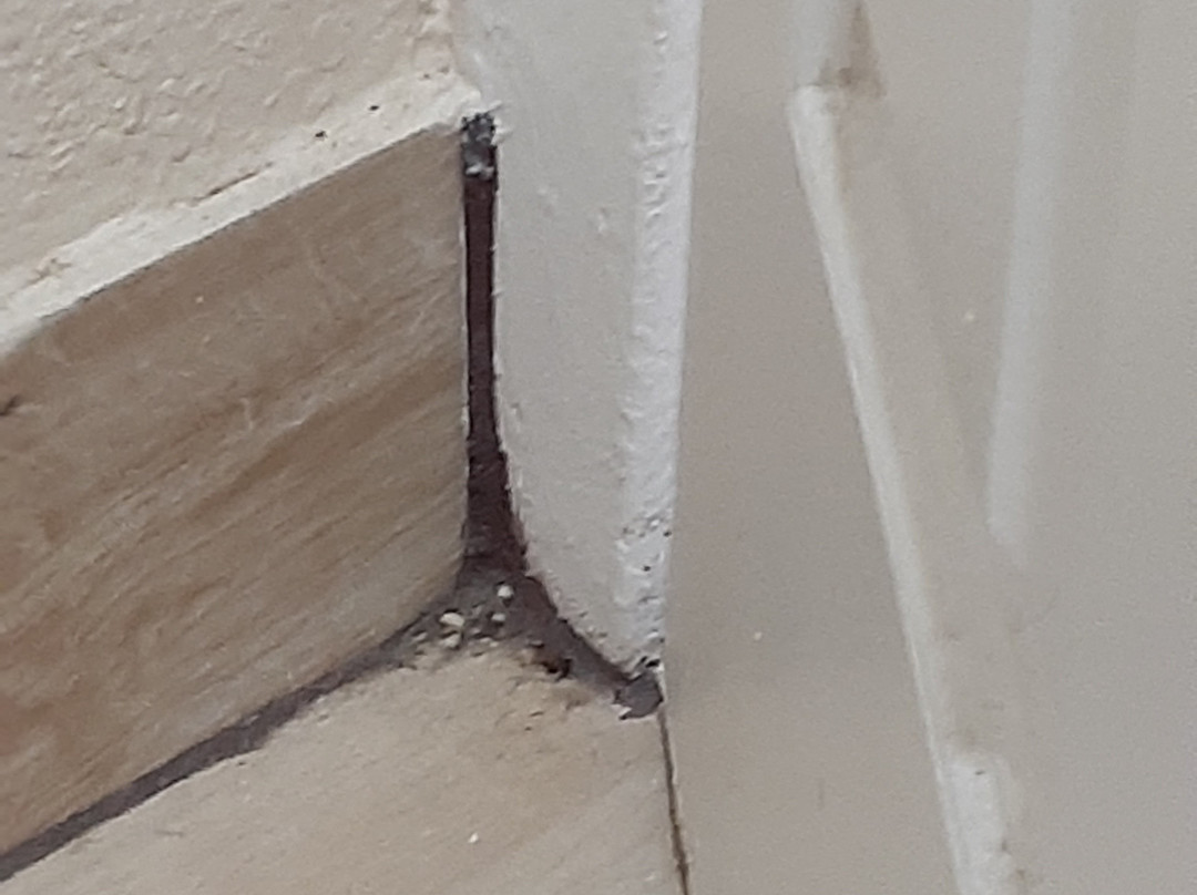 Red Roof Inn Slidell主图