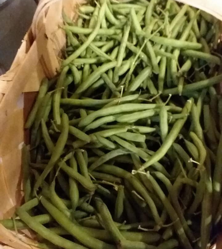 Dorr Farms-Gable必去景点