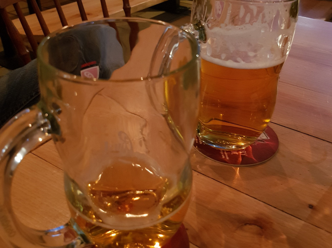 Nosorožec PUB-Zilina必去景点