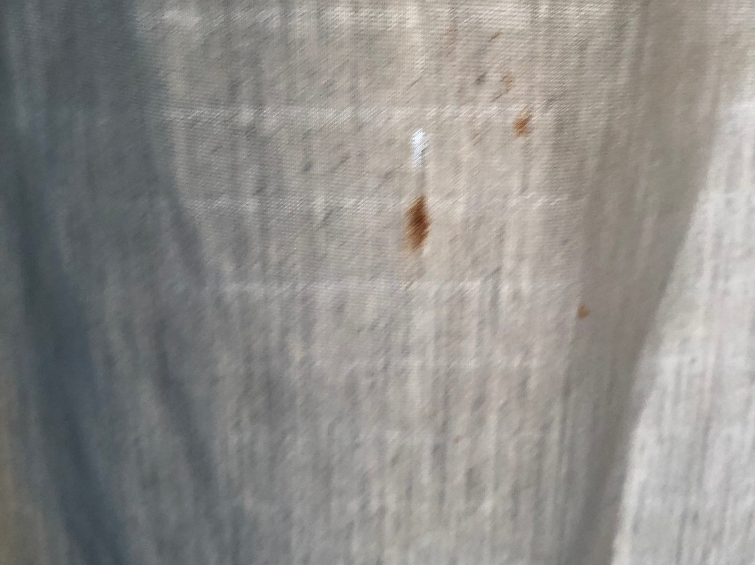 Monterey Condominium Motel主图