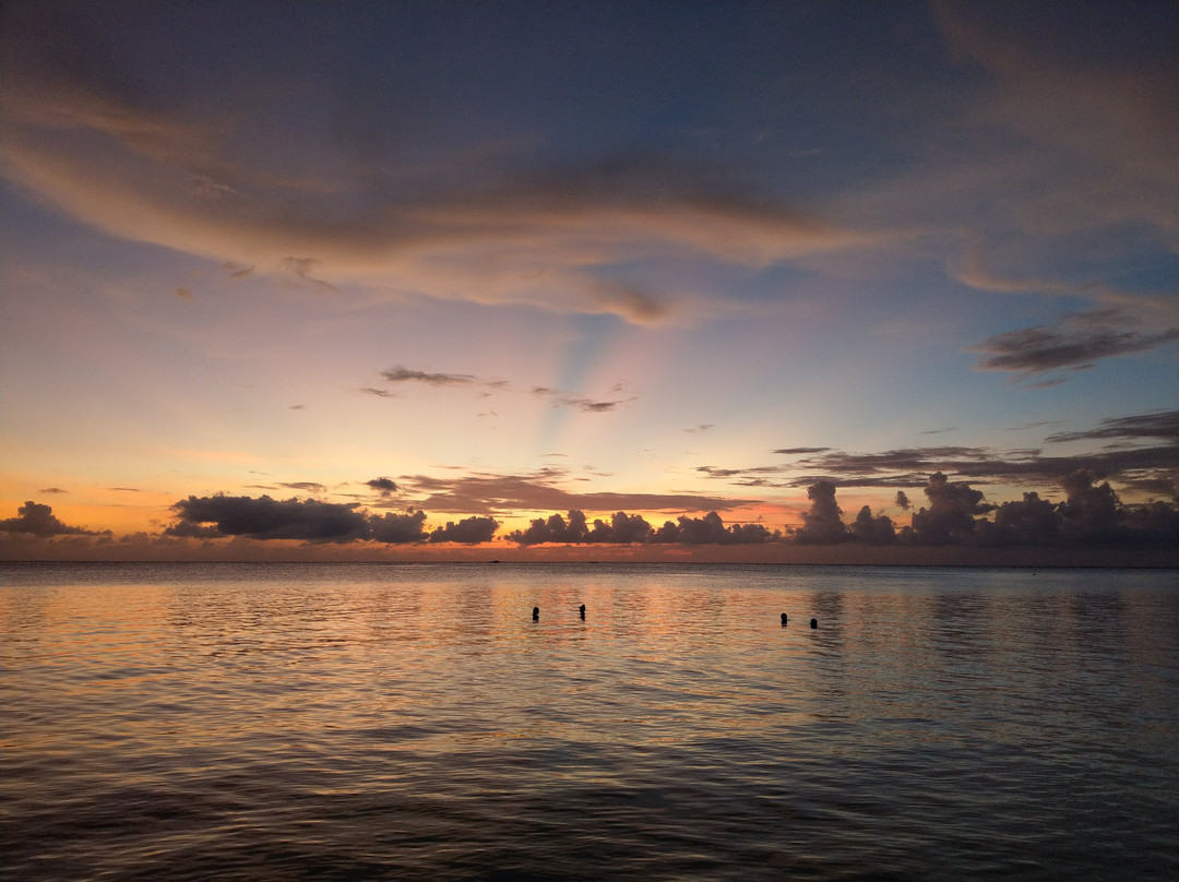 Relax Residence主图