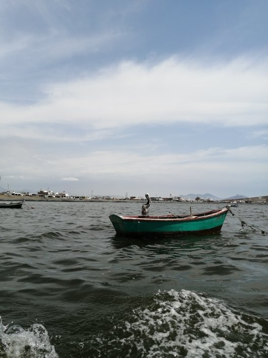 Playa Tortugas-Casma必去景点