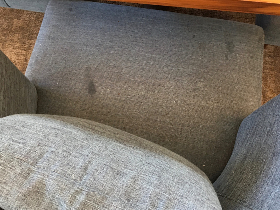 罗厄诺克拉皮兹希尔顿花园旅馆主图