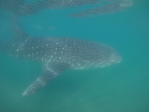 MeXplore-拉巴斯必去景点