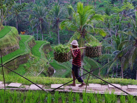 Cahaya Mulia Paradiso-沙努尔必去景点