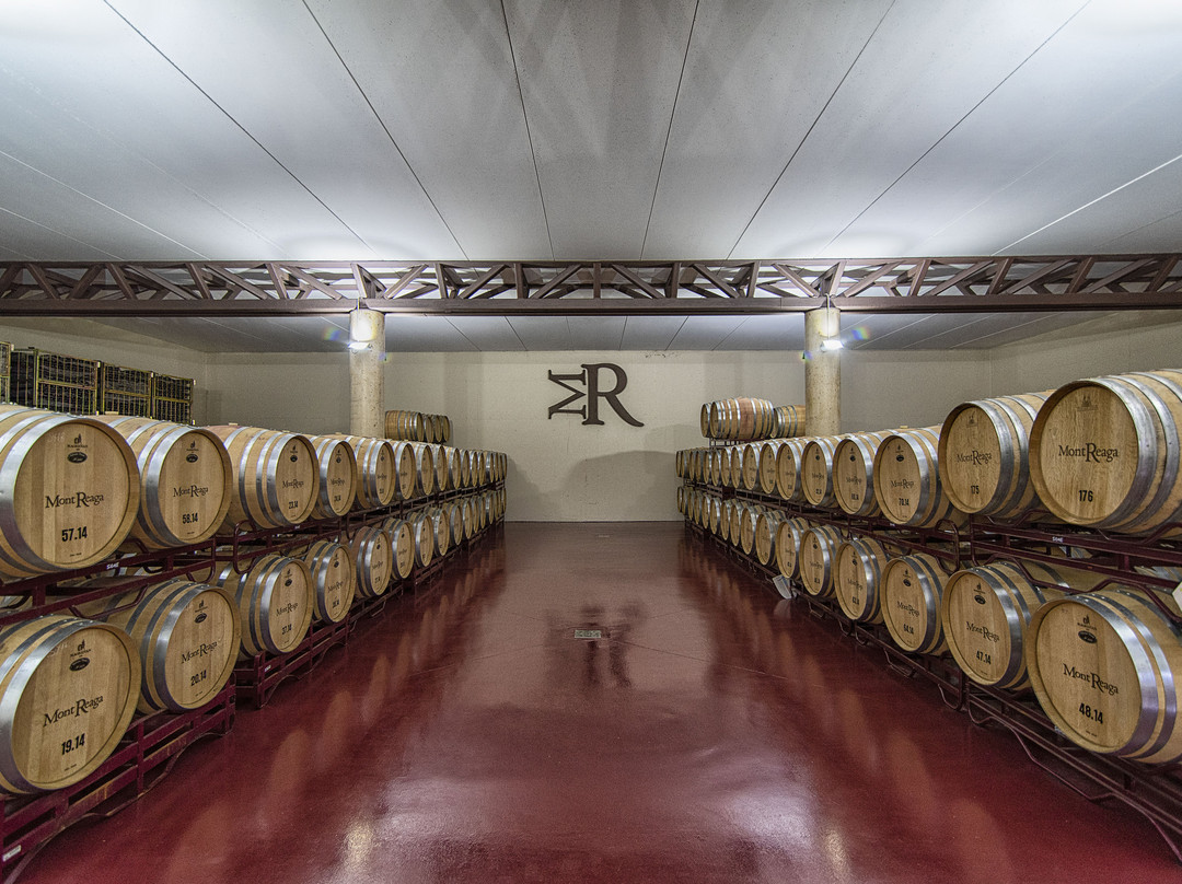 Bodega Mont Reaga景点图片