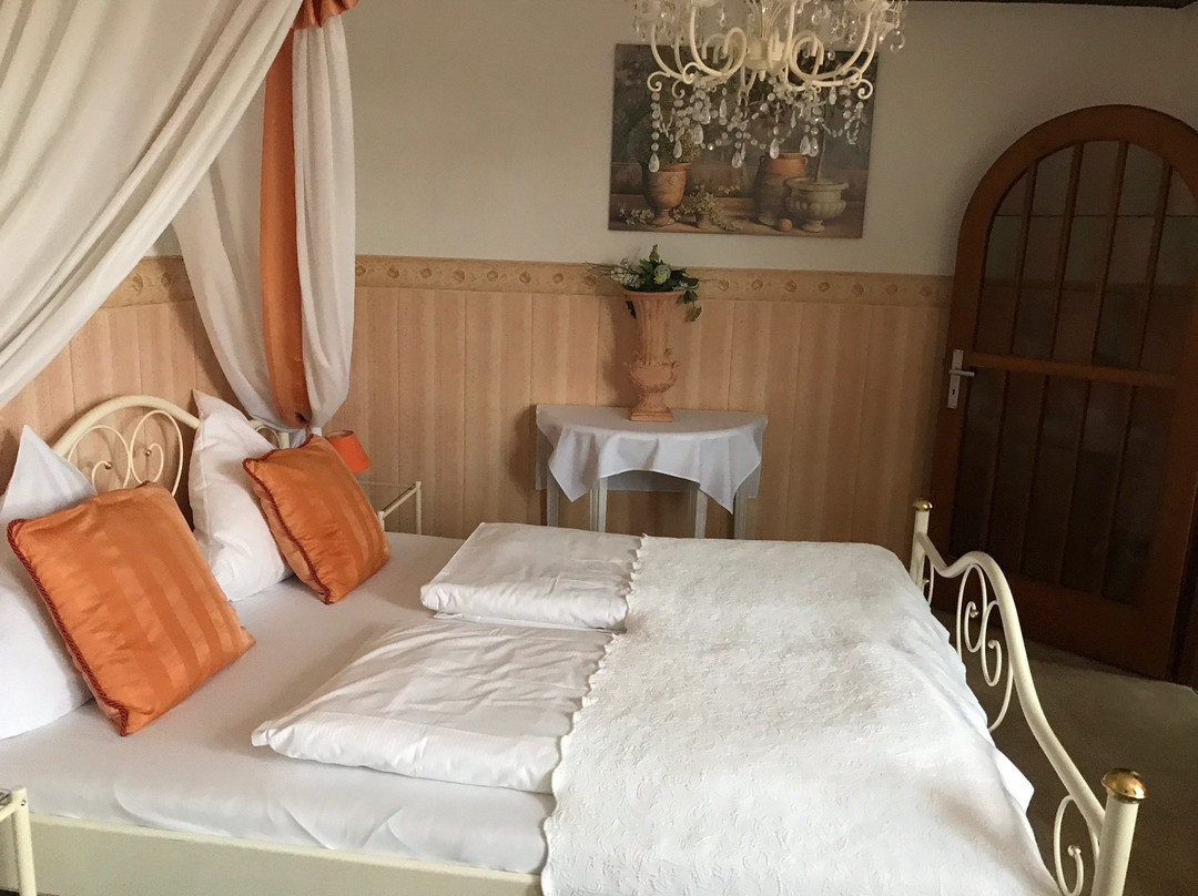 克罗嫩伯格别墅酒店主图