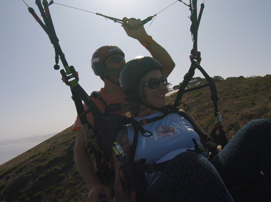 Parapax Tandem Paragliding - Cape Town景点图片