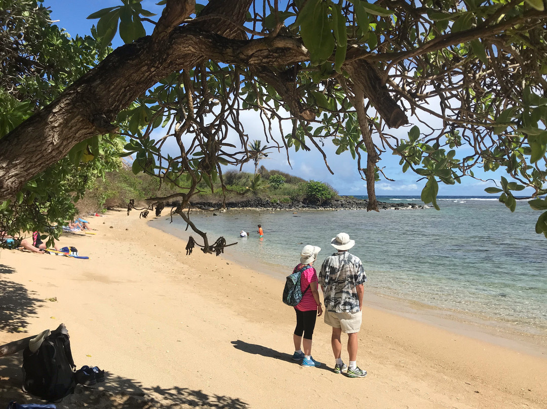 Waialua Beach-考纳卡卡伊必去景点