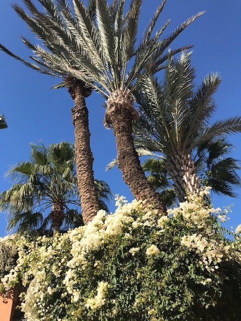 堤基达高尔夫宫殿酒店主图