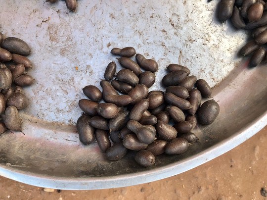 Mercado Central-Bissau必去景点