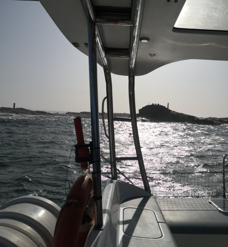 Penguin Catamaran Tours-吕德里茨必去景点