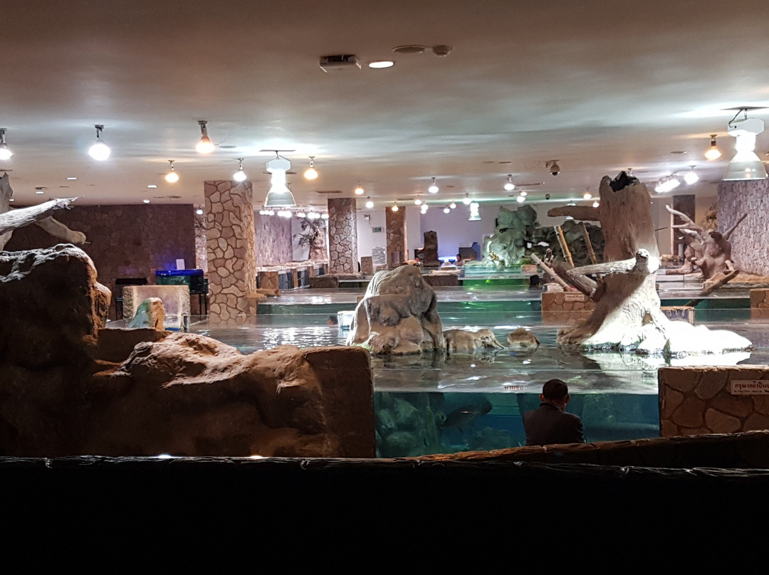 Nong Khai Aquarium景点图片