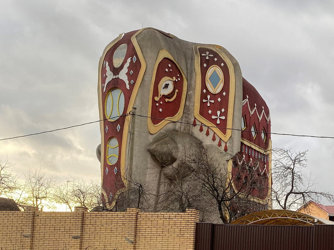 House-Elephant-Ostrovtsy必去景点