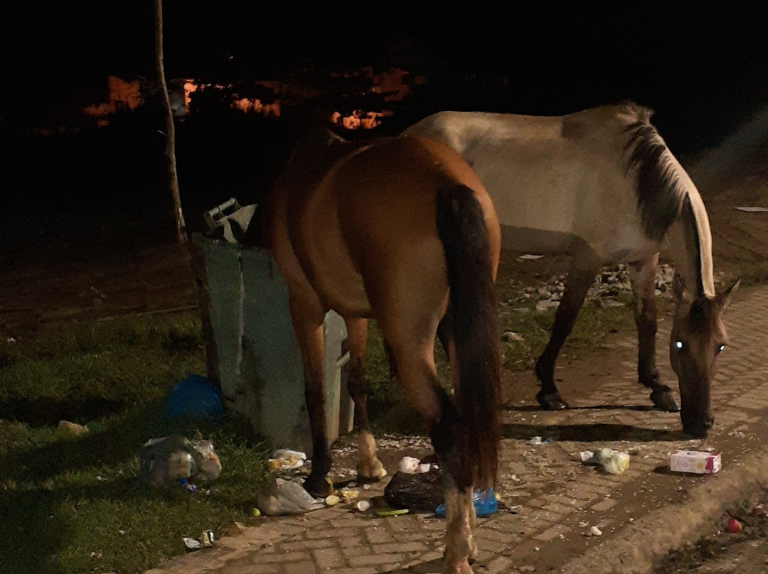 Centro Histórico-帕拉地必去景点