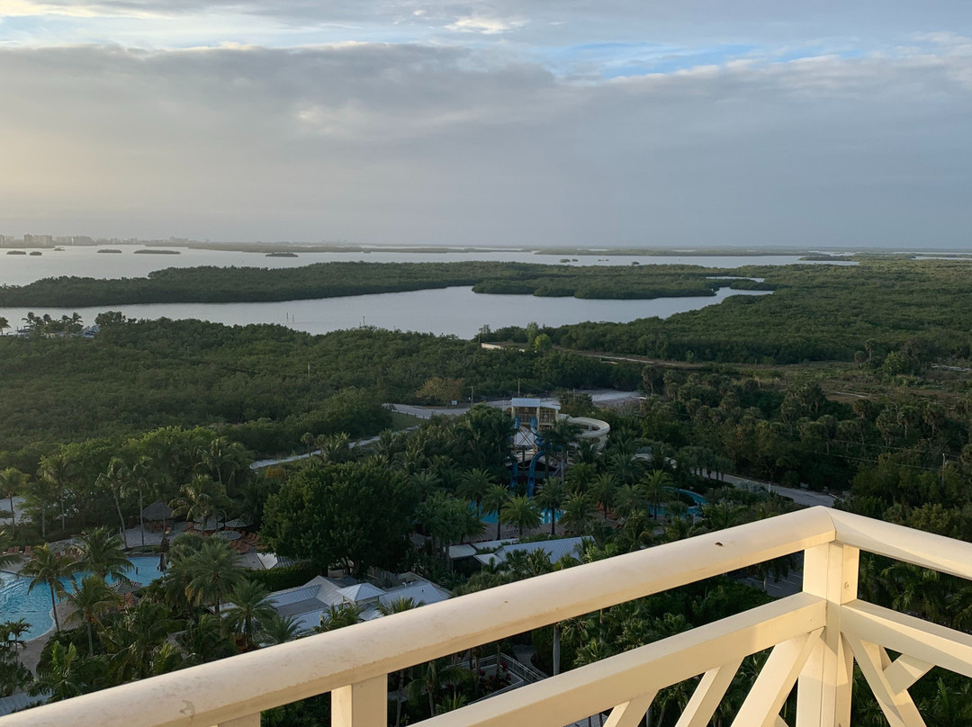 Hyatt Regency Coconut Point Resort And Spa主图